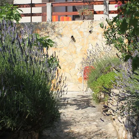 Seaside Secluded Cove Magrovica - Telascica, Dugi Otok - 8139 Appartement *