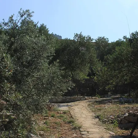 Seaside Secluded Cove Magrovica - Telascica, Dugi Otok - 8139 * Sali