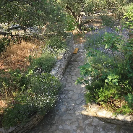 Apartman Seaside Secluded Cove Magrovica - Telascica, Dugi Otok - 8139 *