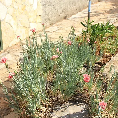 Appartement Seaside Secluded Cove Magrovica - Telascica, Dugi Otok - 8139