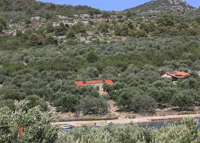 Seaside Secluded Cove Magrovica - Telascica, Dugi Otok - 8139 * Sali