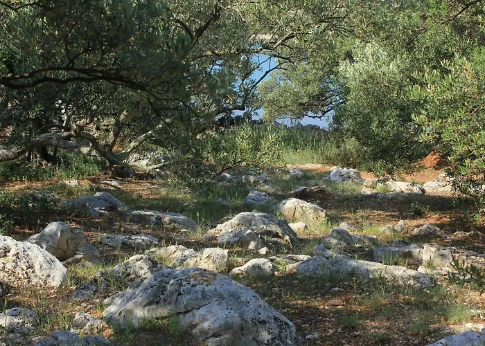 Appartement Seaside Secluded Cove Magrovica - Telascica, Dugi Otok - 8139 *