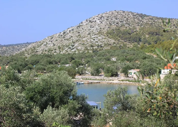 Seaside Secluded Cove Magrovica - Telascica, Dugi Otok - 8139 Appartement