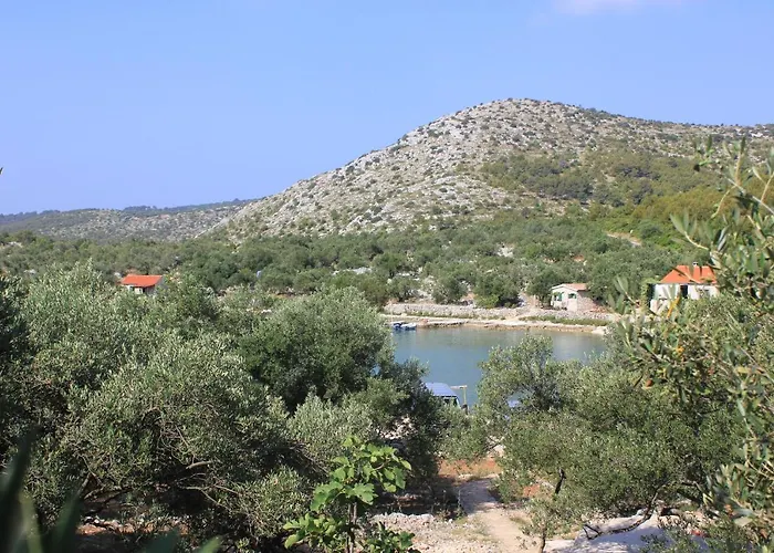 Seaside Secluded Cove Magrovica - Telascica, Dugi Otok - 8139 Appartement *