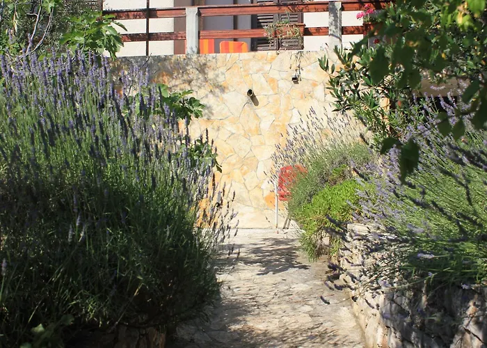 Seaside Secluded Cove Magrovica - Telascica, Dugi Otok - 8139 Appartement *
