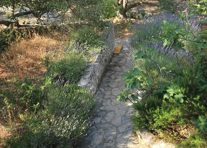 Appartement Seaside Secluded Cove Magrovica - Telascica, Dugi Otok - 8139 *