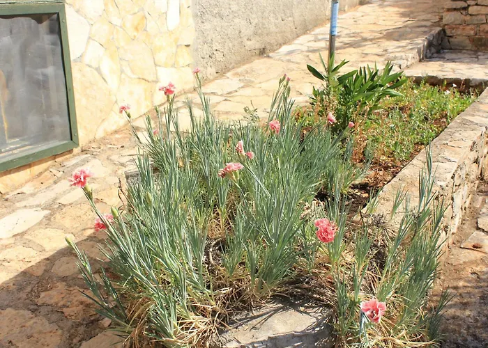 Appartement Seaside Secluded Cove Magrovica - Telascica, Dugi Otok - 8139