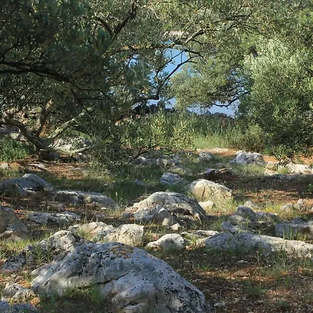 Lägenhet Seaside Secluded Cove Magrovica - Telascica, Dugi Otok - 8139 *